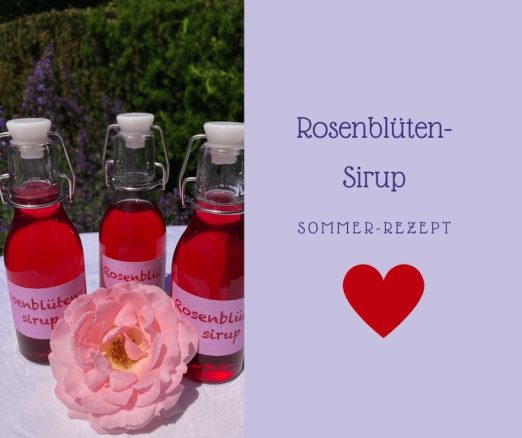 3 Flaschen Rosenblüten-Sirup inkl. rosa Rosenblüte auf Gartentisch angeordnet