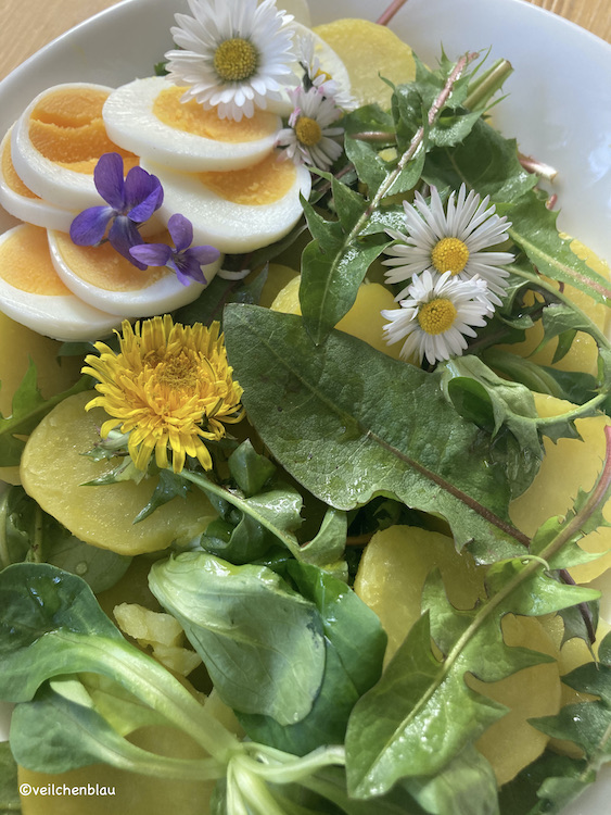 Salat mit grünen Löwenzahnblättern, gelben Löwenzahnblüten, Kartoffelscheiben, gekochtem Ei in Scheiben geschnitten, Gänseblümchen- und Veilchenblüten