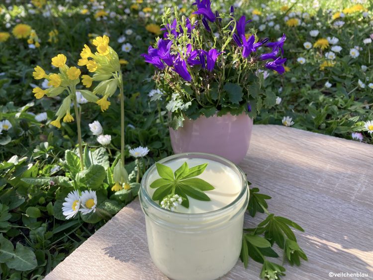 Panna-Cotta im Glas, dekoriert mit einem Waldmeisterblatt samt -blüte. Im Hintergrund sichtbar Wiese mit gelben Schlüsselblumen und lila Glockenblumen